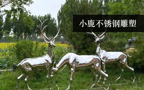 小鹿、梅花鹿、長(zhǎng)頸鹿